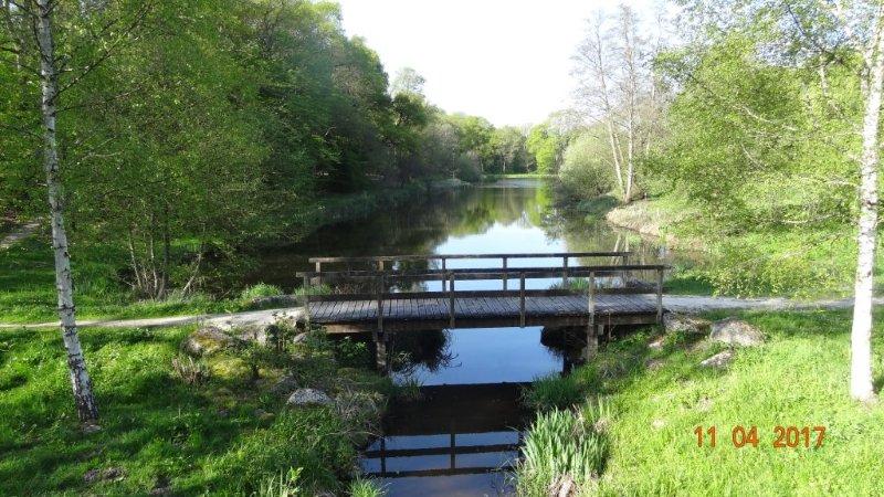 Petit pont sur l'étang.jpg