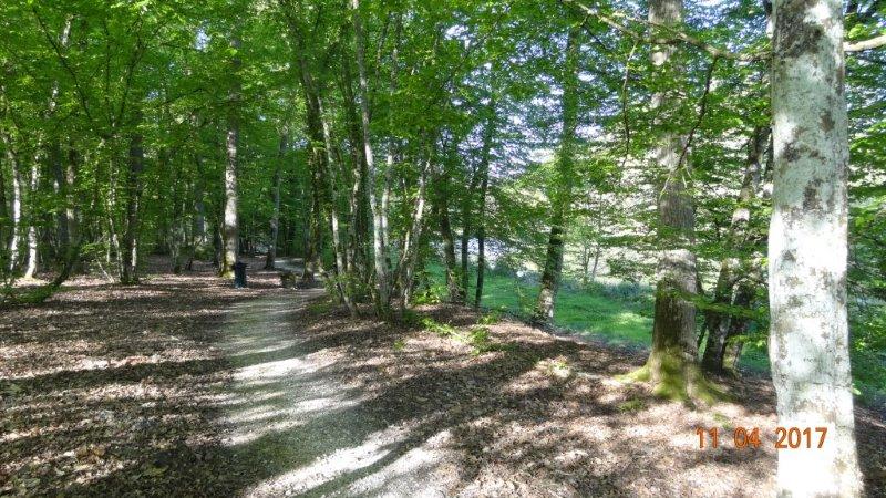 Promenade en sous bois autour de l'étang.jpg