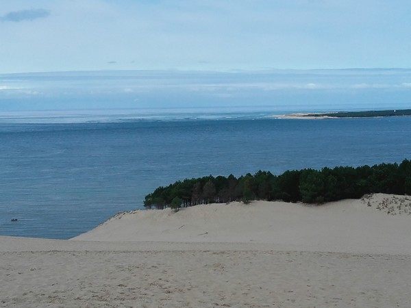 20200929_134235.jpg