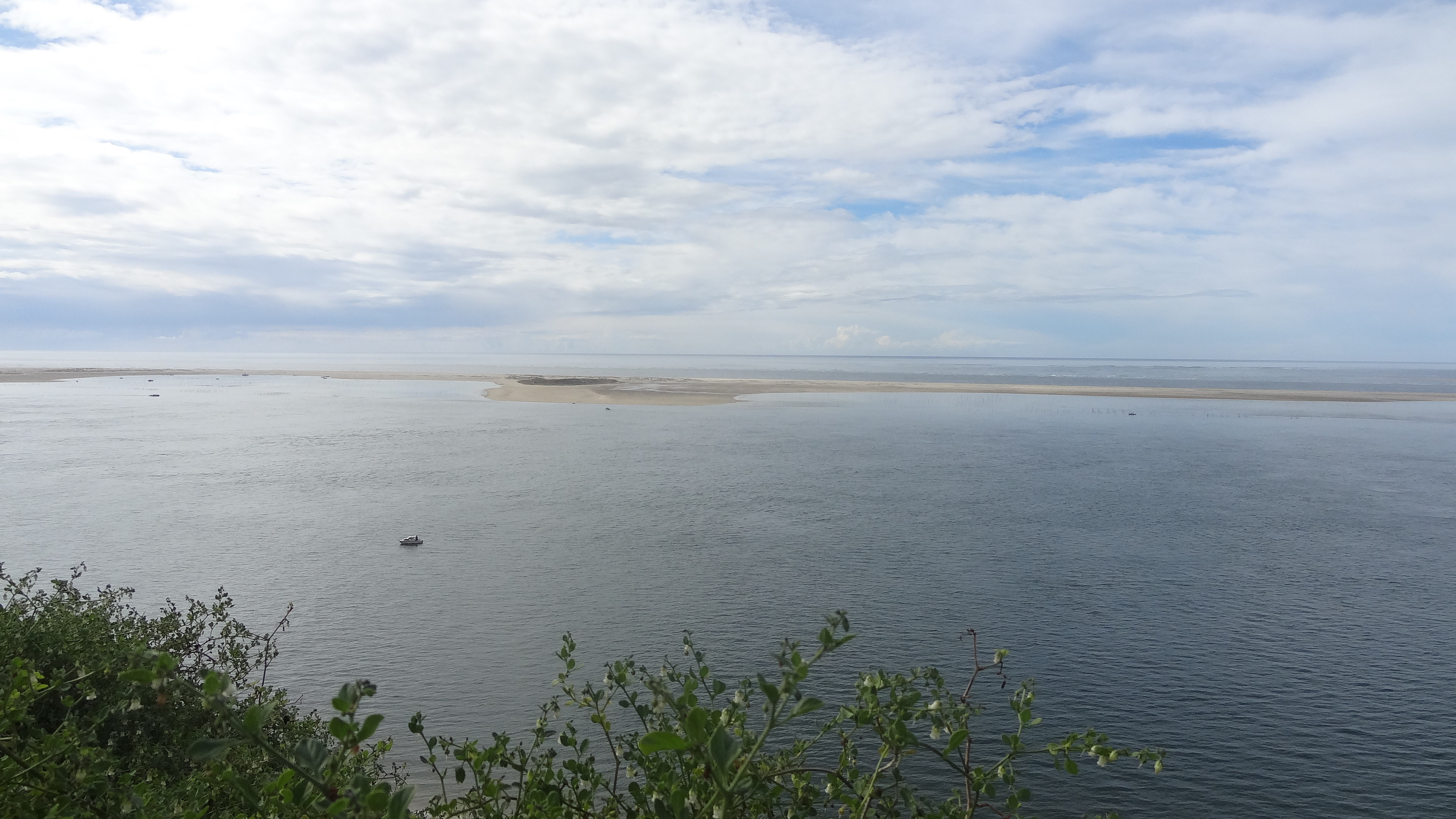 Le banc d'Arguin avant que la marée haute ne le submerge