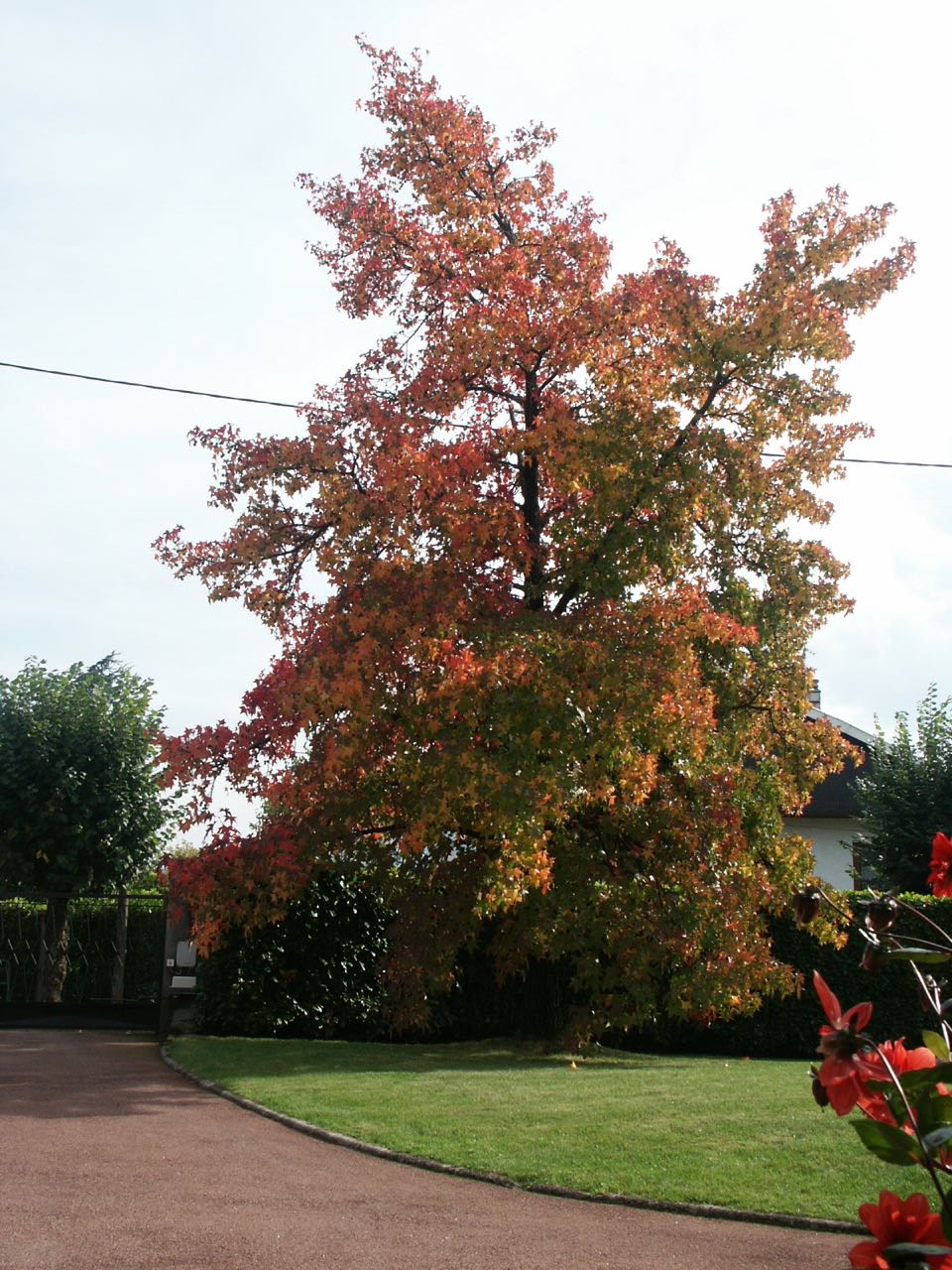 16-10-2005.jpg