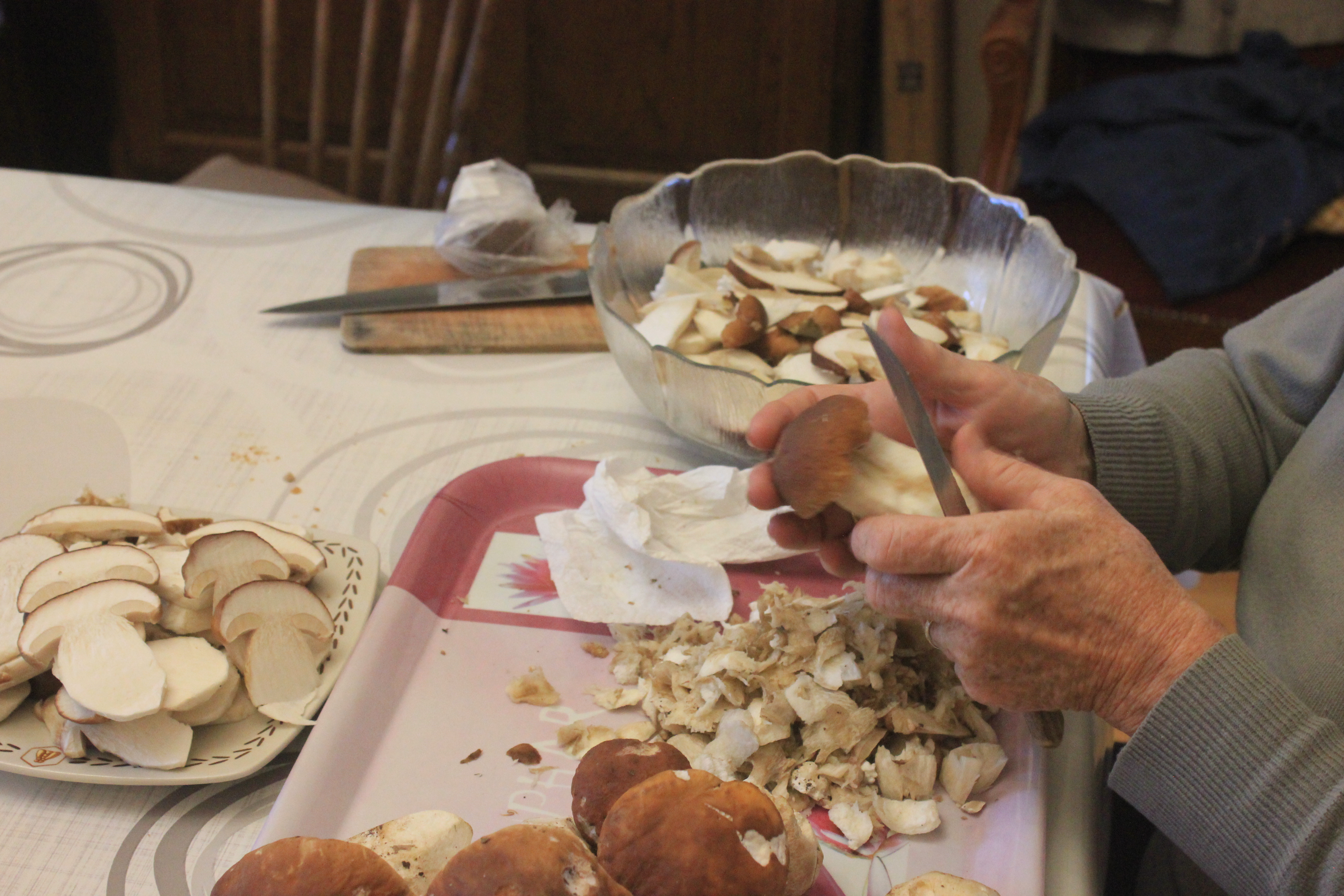 champignons 055.JPG