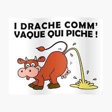 téléchargement.jpg