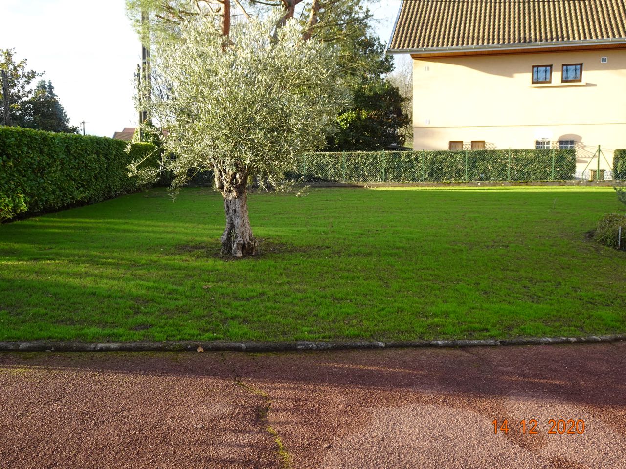 DSC00100.jpg