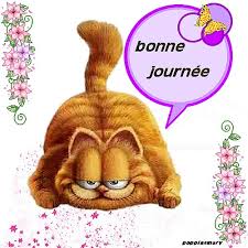images.jpg
