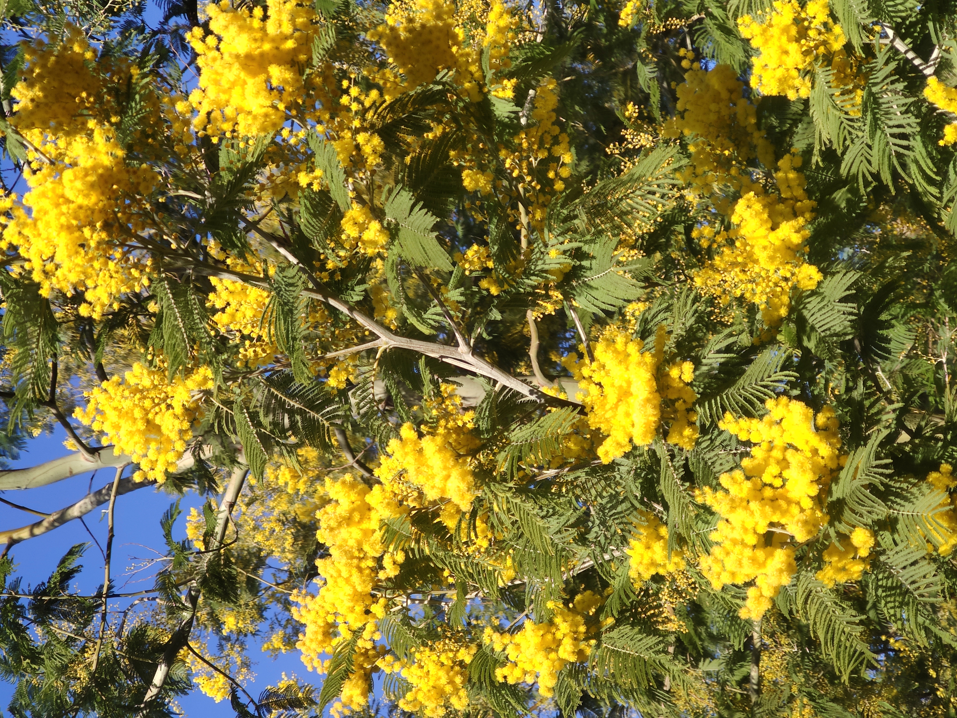 IMG_20220128_160021.jpg