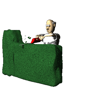 32797.gif