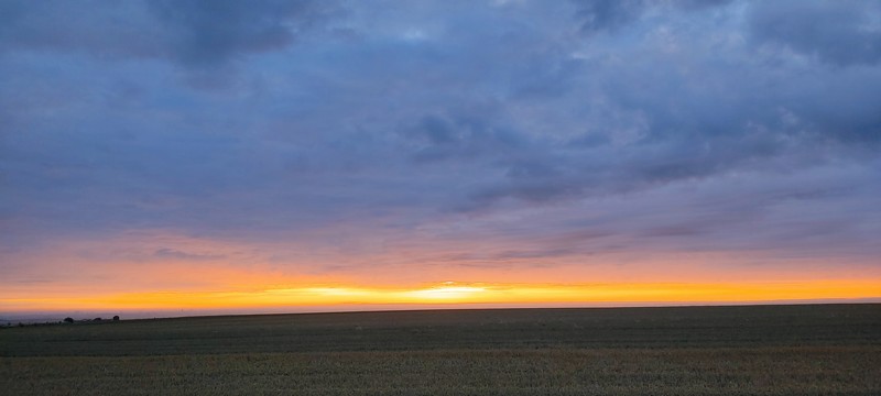 IMG_20220824_071911.jpg