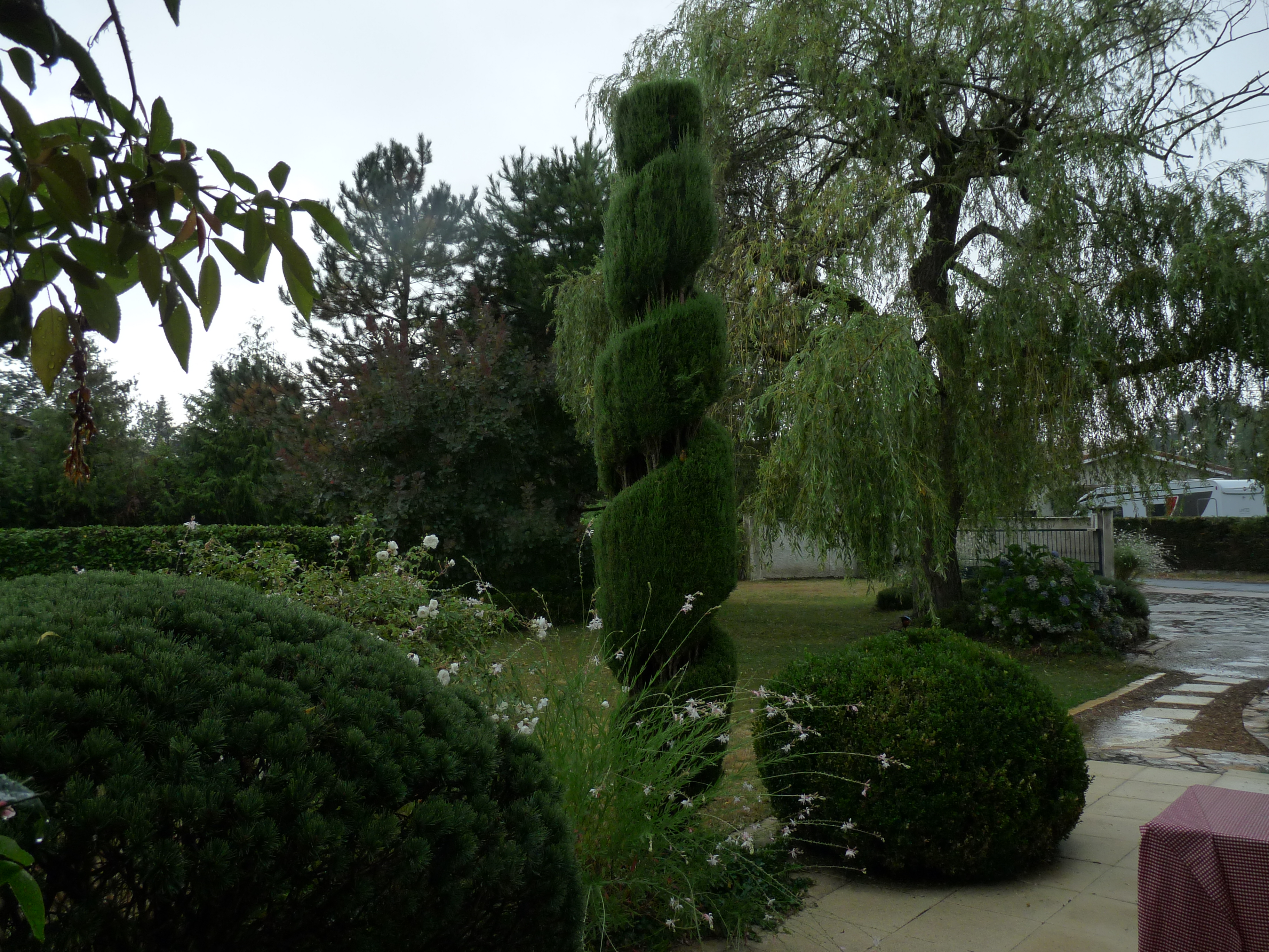 P1190830.JPG