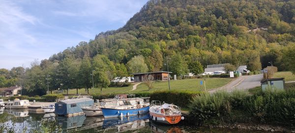IMG_20231010_160603.jpg