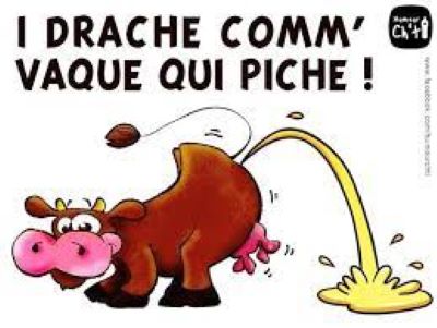 drache.jpg
