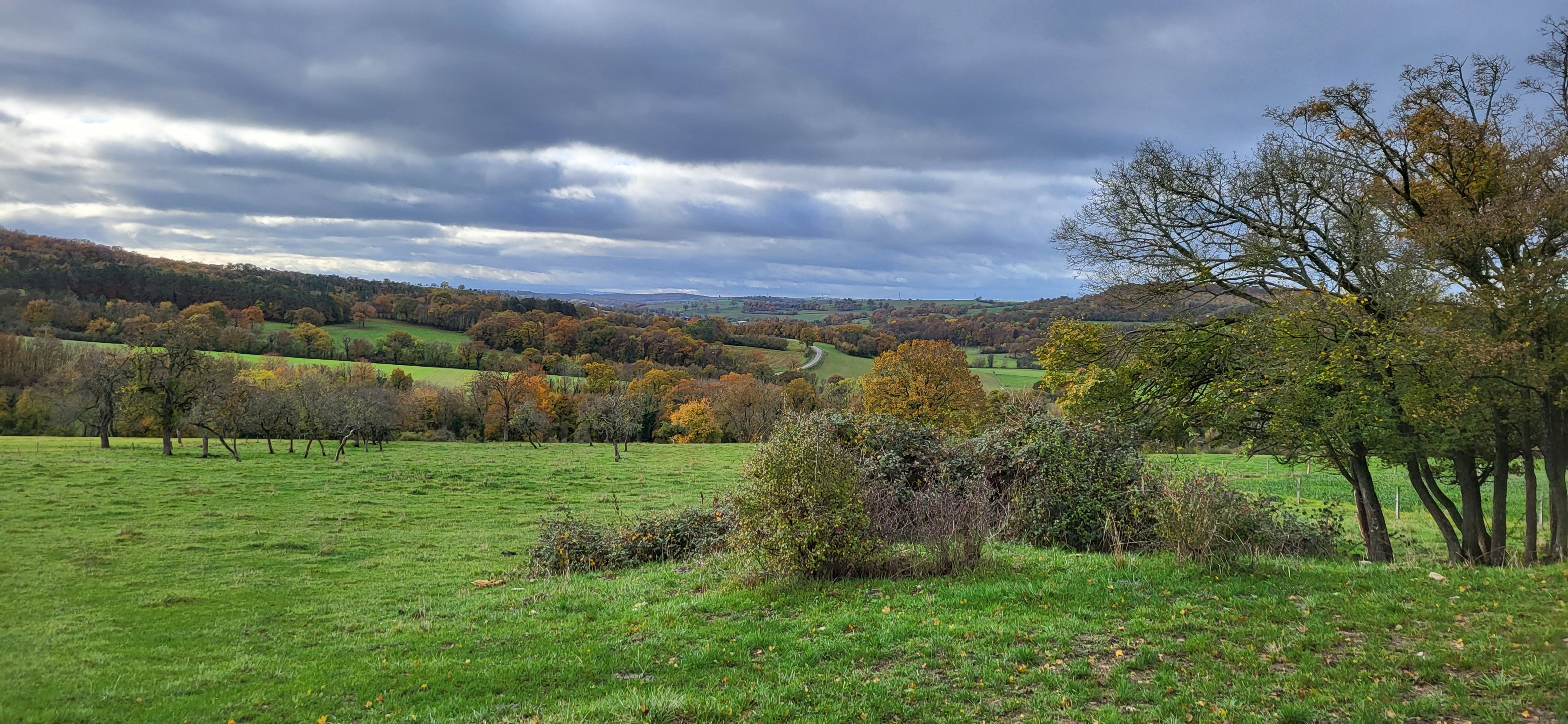 Voilà l'automne en Alsace du nord (Krümme Elsass