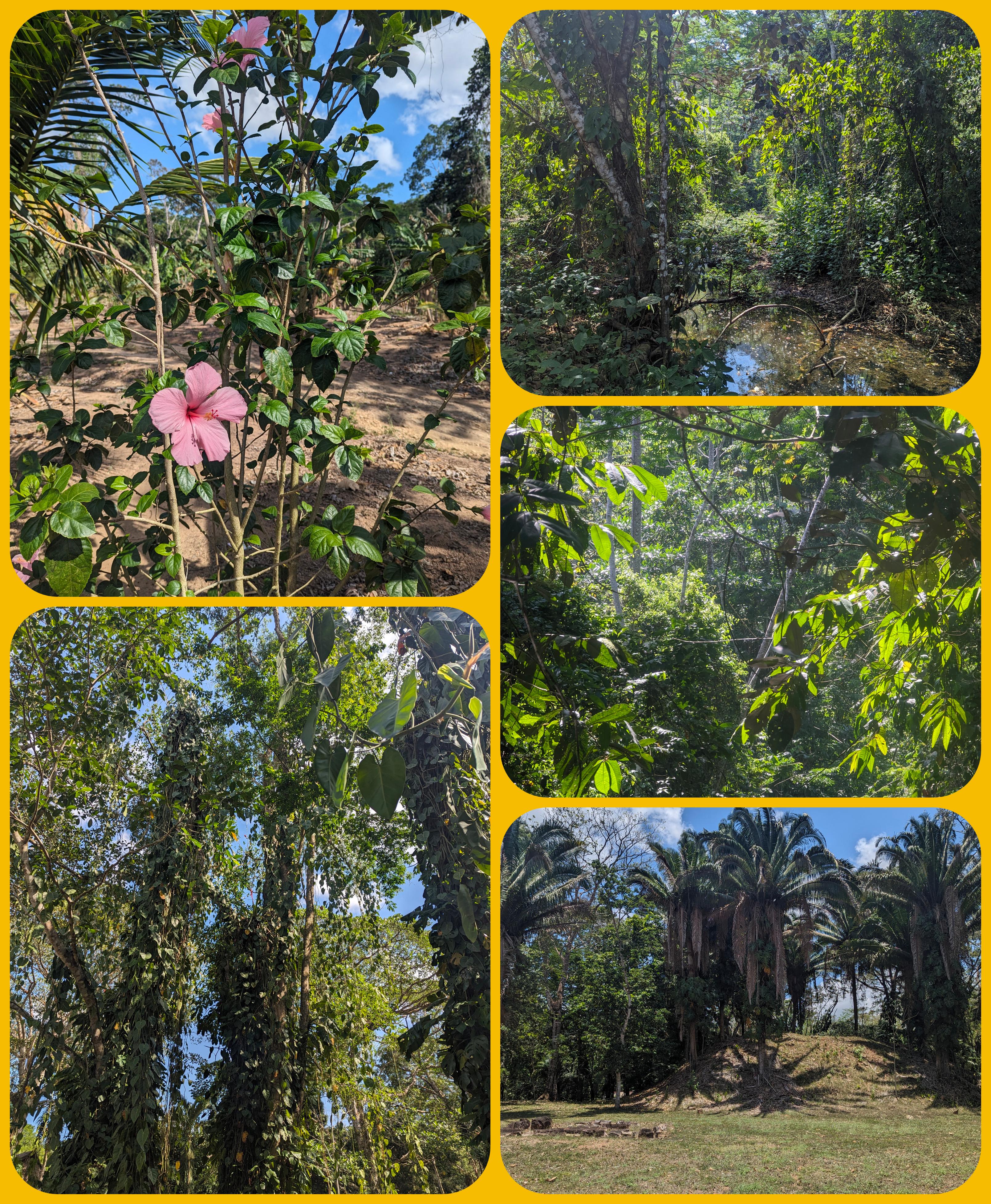De la nature e core
