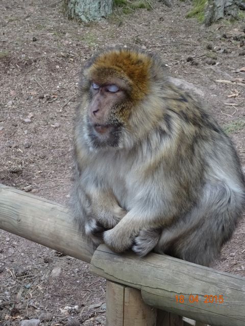 DSC00818.jpg