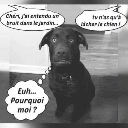 FB_IMG_1729447618943.jpg