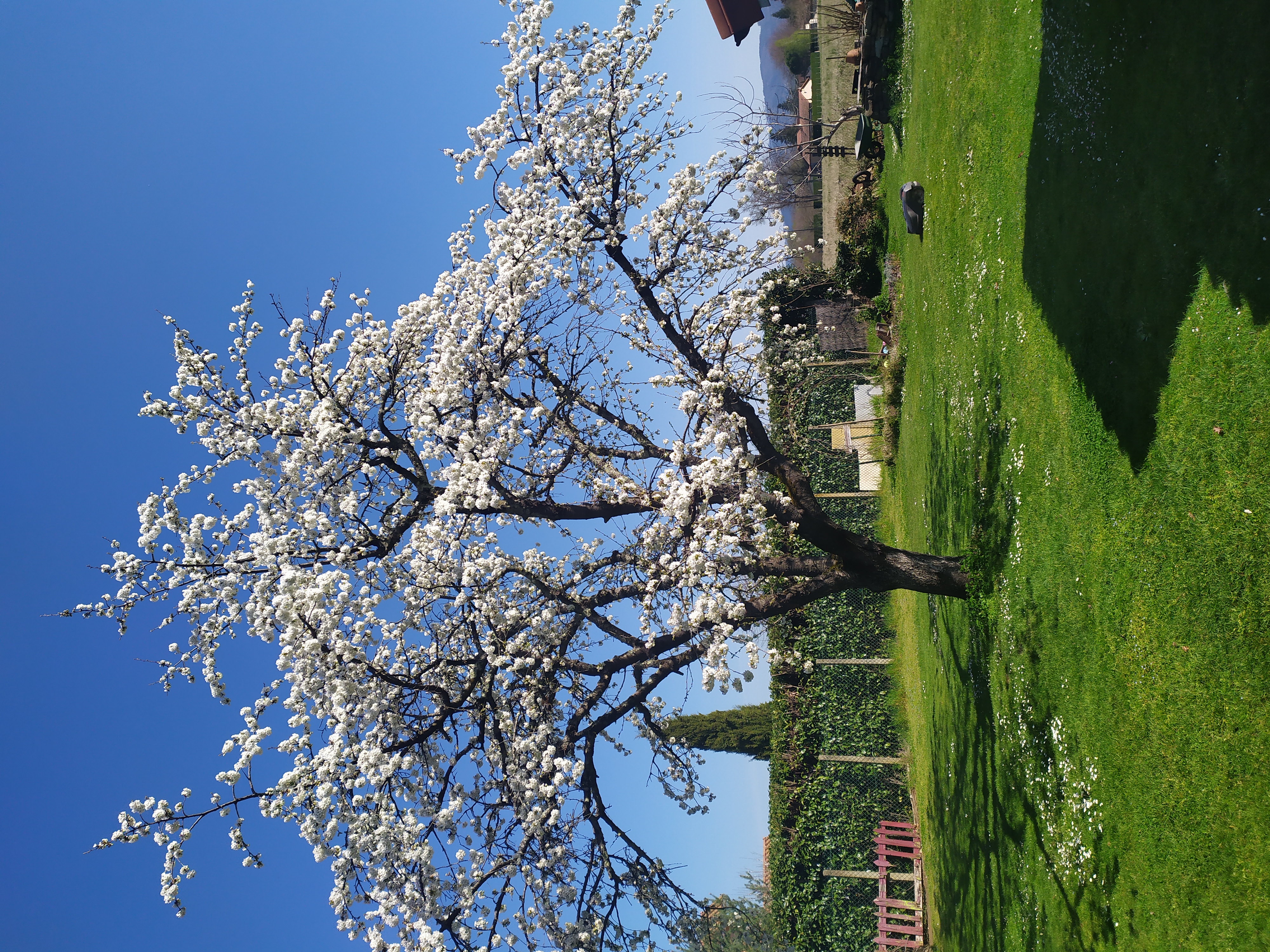 IMG_20250406_113249.jpg