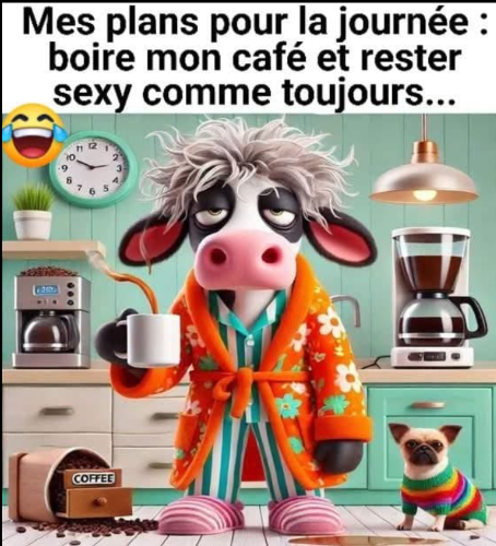 Capture d'écran 2025-04-10 085645.png