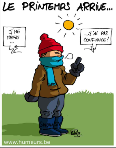 Capture d'écran 2026-03-18 084222.png