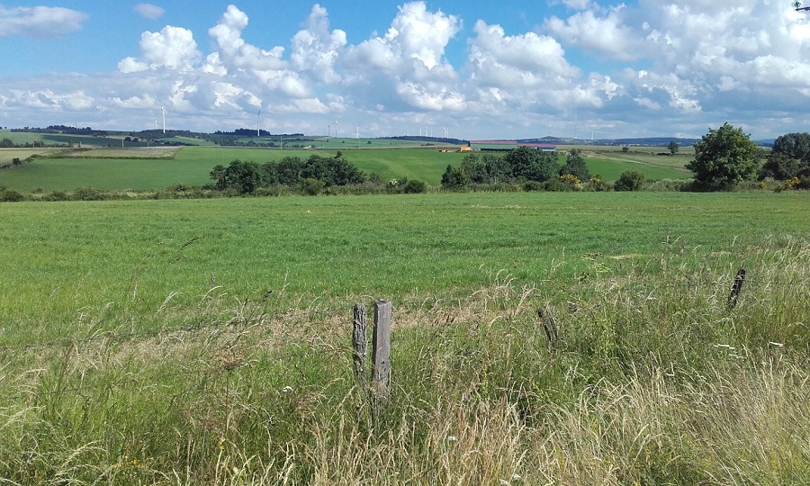 pour ceux qui aiment la campagne