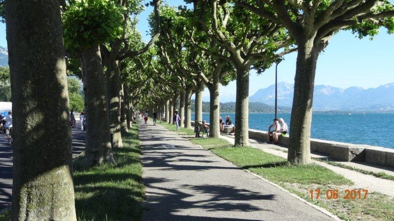 Magnifique cette allée piétons sous les arbres en bordure du lac