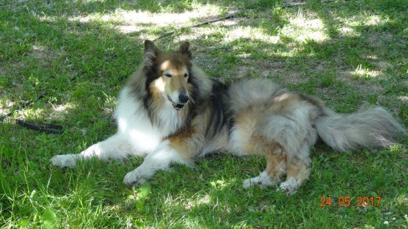 Notre Syrus à la sortie de Verdon à Porqueroles avec le Cercle