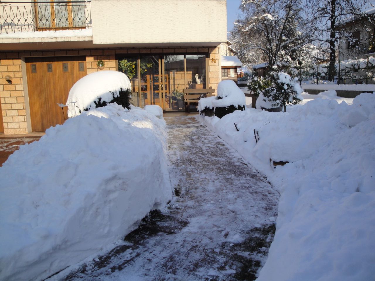 11 janvier 2010.jpg