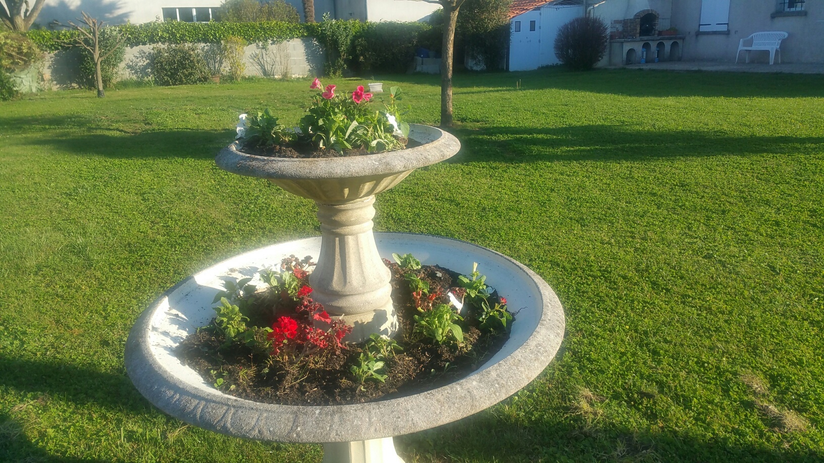 jardin.jpg